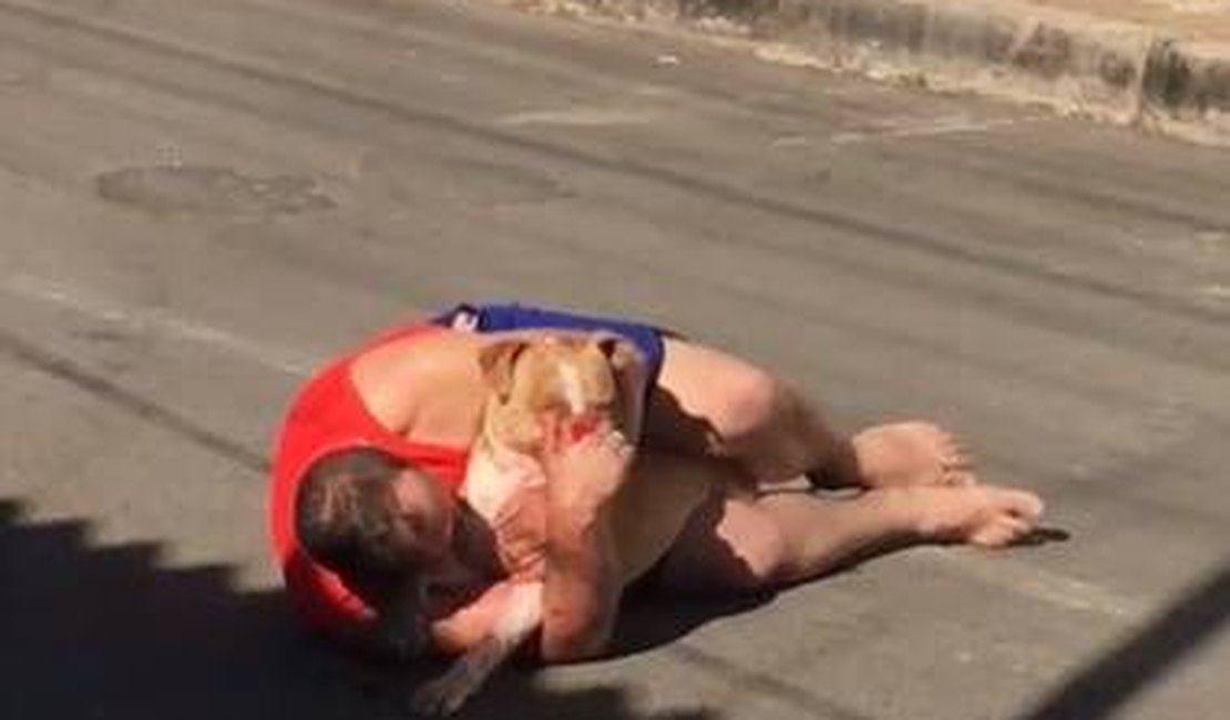 Ferido, homem agarra pit-bull que atacou cachorro de rua no DF