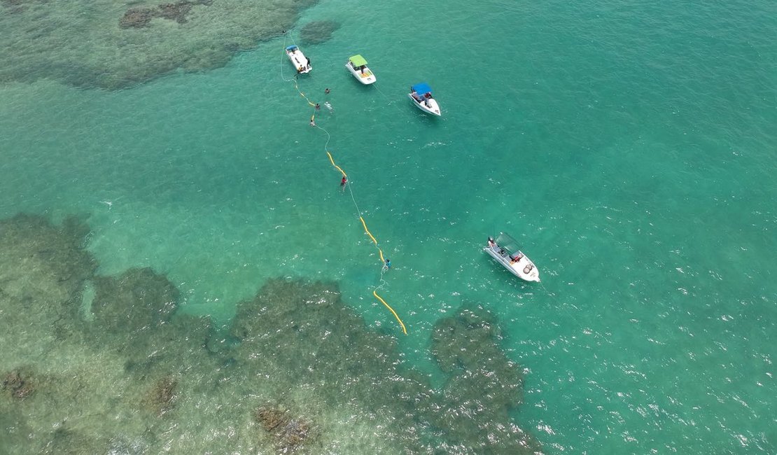 Piscinas de Ponta de Mangue são para turismo sustentável