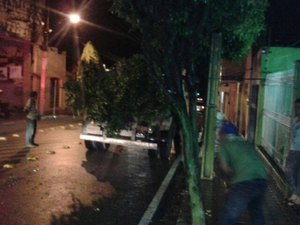 Em Arapiraca, corte de árvore gera confusão entre morador e prefeitura