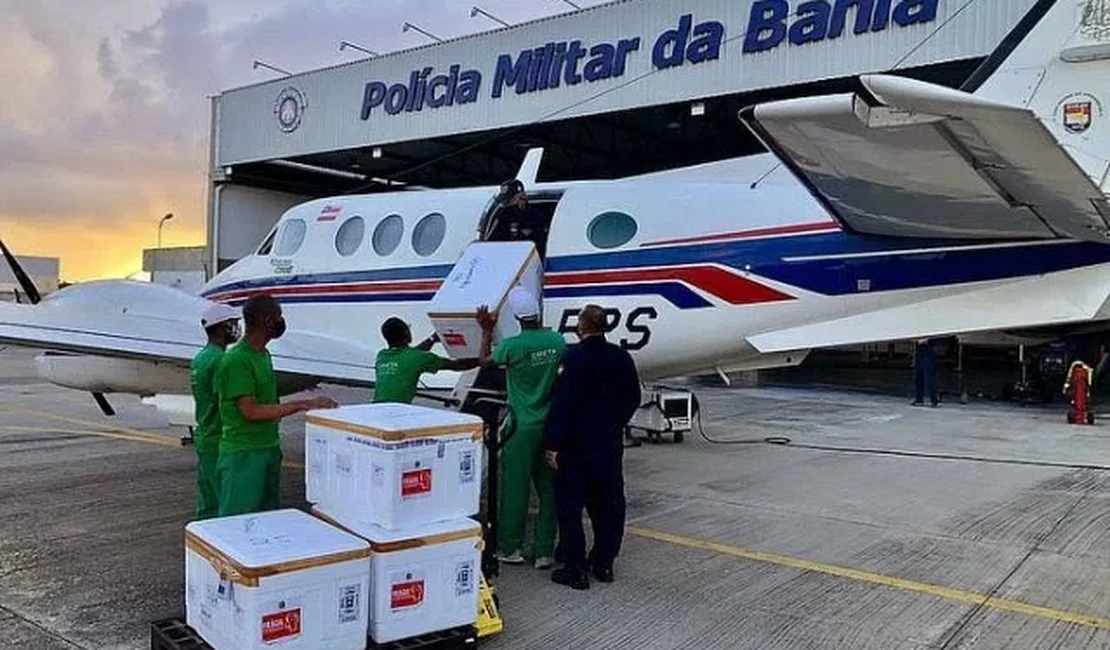 Avião que transportava vacina colide com jumento em aeroporto na Bahia
