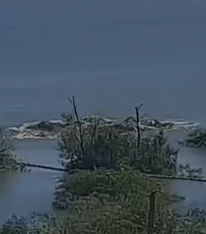 [Vídeo] Mina 18 sofre rompimento no início da tarde deste domingo (10) em trecho da Lagoa Mundaú