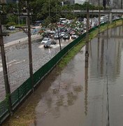 Volume de chuva em São Paulo é o segundo maior para mês o de fevereiro