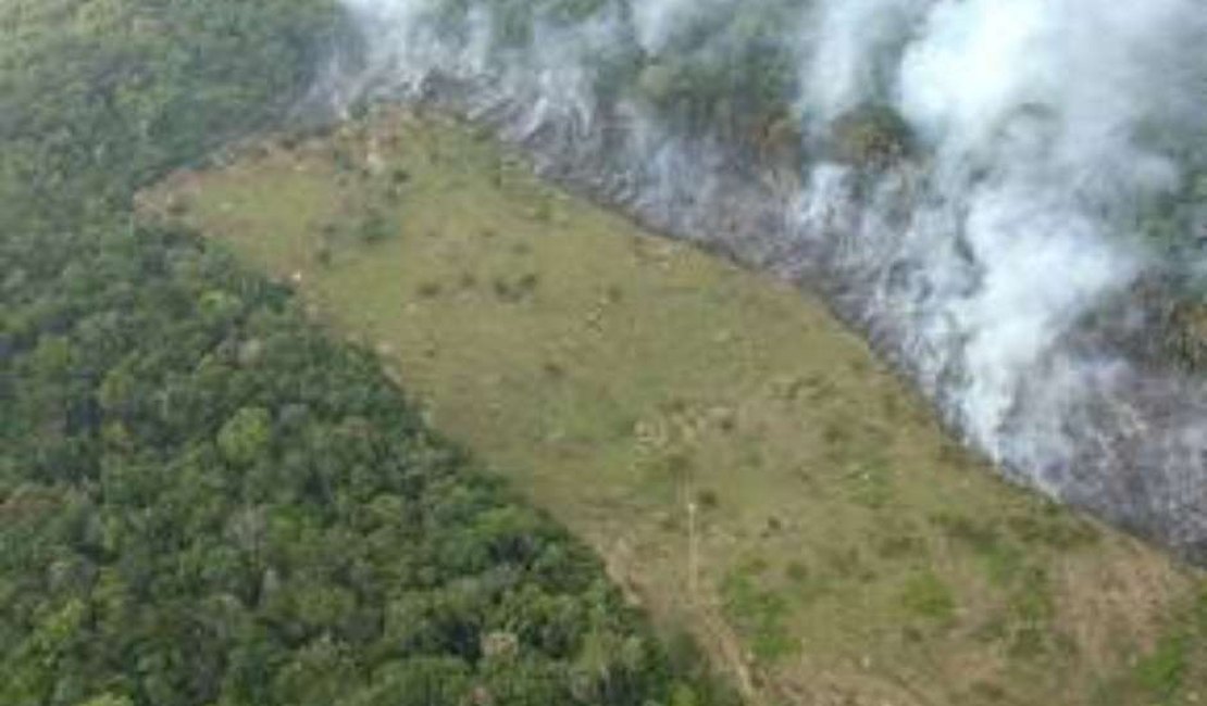 Sete estados já pediram apoio federal para combater incêndios na Amazônia