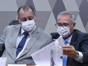 Imunidade de rebanho e atraso de vacinas impulsionaram mortes, diz relatório