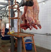Solução para abate do gado criado em Penedo foi apresentada há dez anos