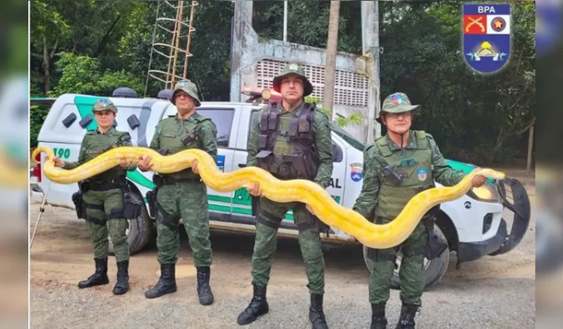 Cobras encontradas na propriedade onde ocorreu chacina são recolhidas para o Ibama