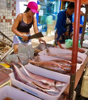 Feira do Peixe promete aquecer vendas de feirantes em Maragogi