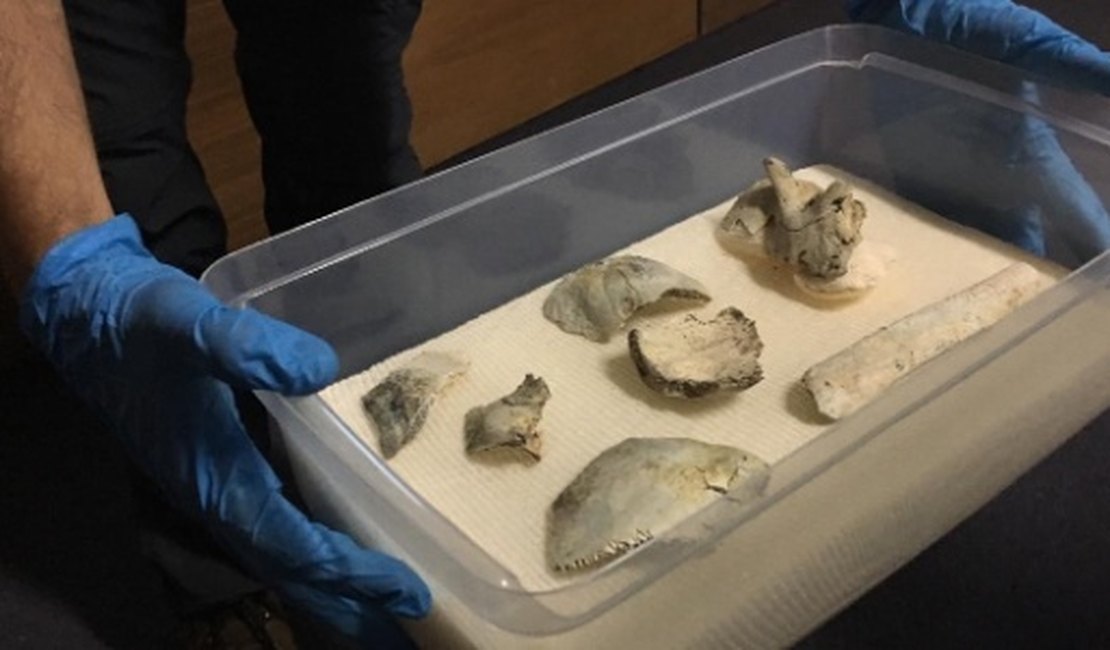 Museu Nacional resgata crânio de Luzia quebrado e identifica 80% das partes