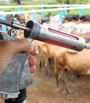 Adeal promove vacinação assistida contra a febre aftosa em escola agrícola