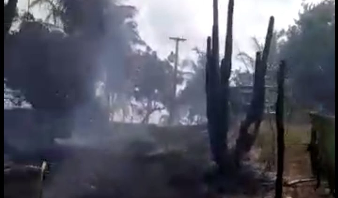 [Vídeo] Incêndio destrói sítio e fogo chega perto de casas em Japaratinga