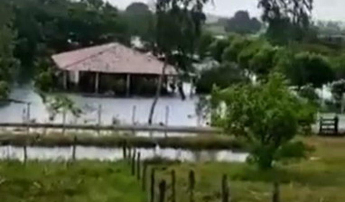 [Vídeo] Cheia do Rio São Francisco atinge propriedades rurais e impressiona ribeirinhos