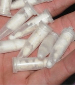 Denúncia anônima contribui para a apreensão de 138 pinos de cocaína no Agreste
