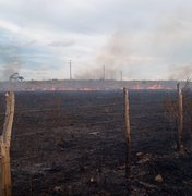 População denuncia incêndio em vegetação de terreno em Marechal Deodoro
