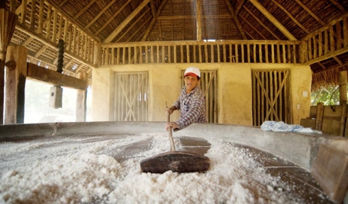 Casas de farinhas serão reabertas em Arapiraca