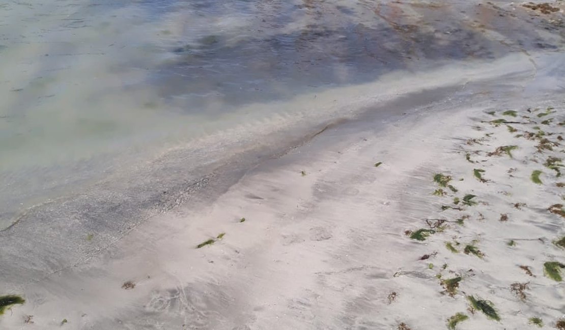 Empresários se unem ao poder público para monitorar praias da Rota Ecológica