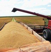 Alagoas promove última colheita de soja