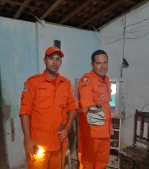 Bombeiros resgatam cobra em residência da cidade de Penedo