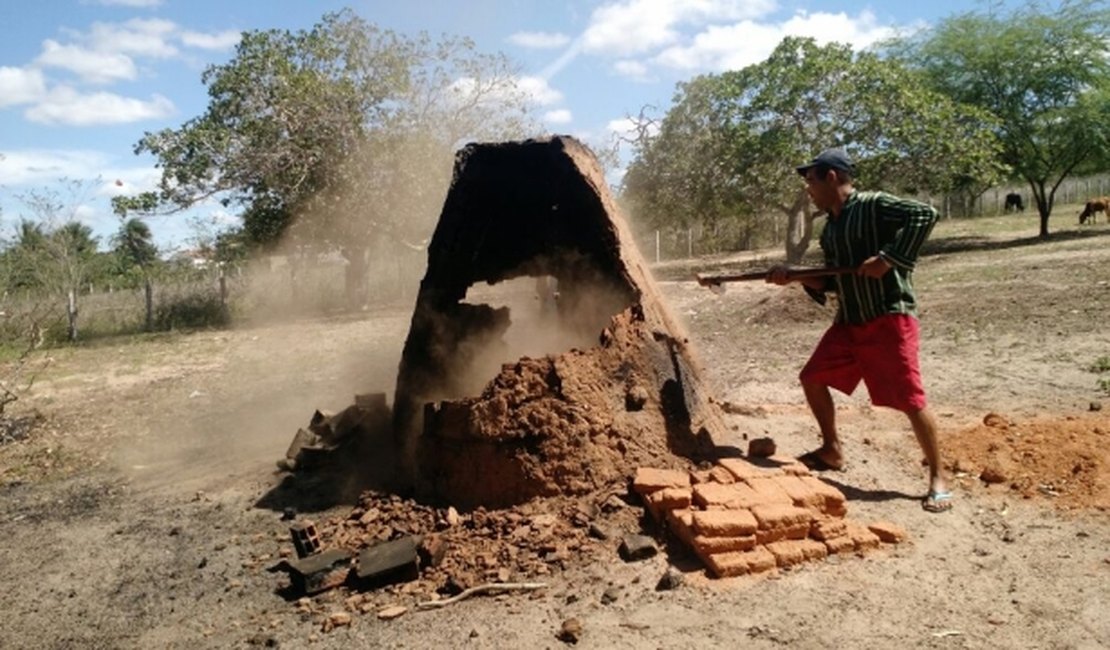 FPI combate produção de carvão decorrente de desmatamento de mata da Caatinga