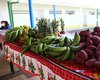 Prefeitura de Maceió lança edital para aquisição de alimentos da agricultura familiar