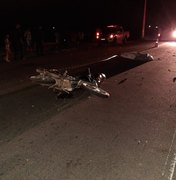 Moto colide contra animal e condutor morre na rodovia AL-220 