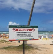 Prefeitura instala placas em praias para proteger desova de tartarugas