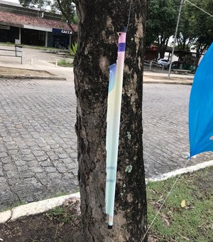 Vandalismo nas eleições da Ufal: material de Tonholo é destruído em Maceió