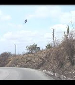 Motorista sai ileso após capotar e cair em ribanceira na Serra das Espias