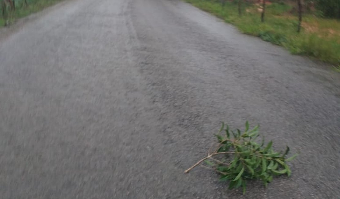 [Vídeo] Chuvas causam estragos em Jacuípe e na rodovia AL 105