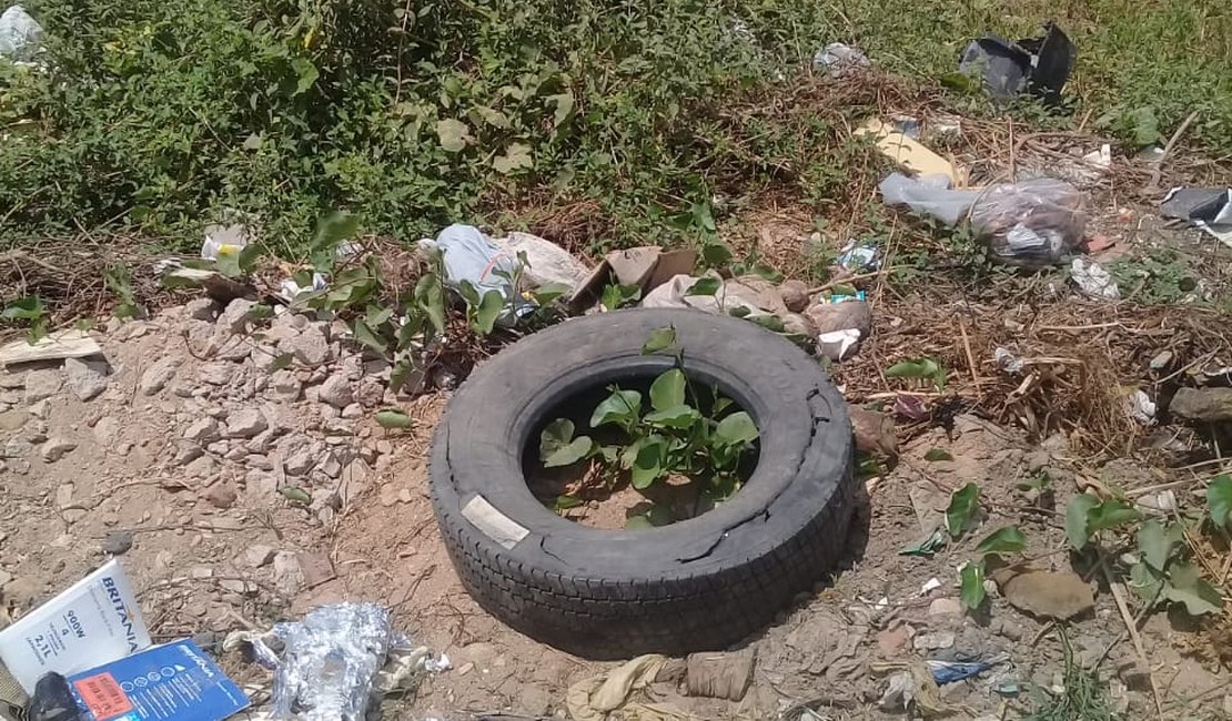 Moradores do bairro Cavaco convivem com lixão há meses sem limpeza da Prefeitura de Arapiraca