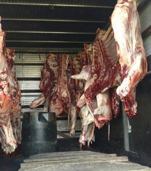 PRF apreende 1,5 tonelada de carne bovina transportada irregularmente na BR-104