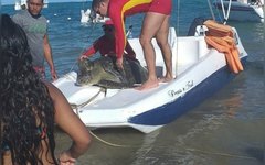 Bombeiros resgatam tartaruga em praia de Maragogi