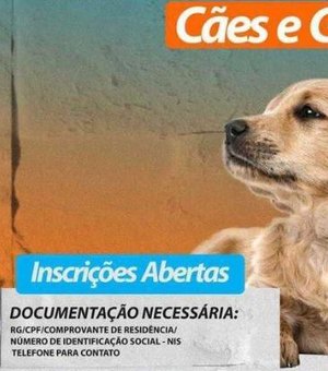 Cães e gatos serão castrados pelo Complexo Multidisciplinar Tarcizo Freire