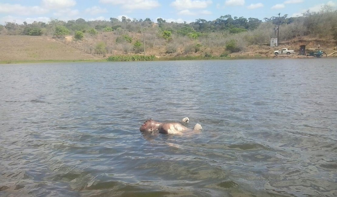 Corpo é encontrado boiando em açude de São Sebastião