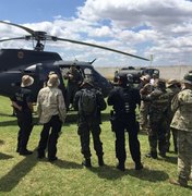 Polícia Federal destrói mais de 260 mil pés de maconha em Pernambuco