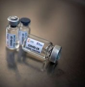 Covid-19: Potencial vacina do Brasil será testada em animais