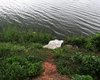 Corpo de homem de 56 anos é encontrado às margens do Lago da Perucaba, em Arapiraca