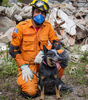 Bombeiros de luto: morre Joy, cadela de trabalho de resgate em Alagoas