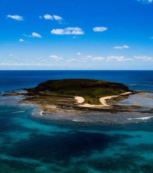 Fragmentos de óleo são encontrados em ilha do arquipélago de Abrolhos