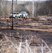FPI flagra mais de dois hectares de área desmatada em São José da Tapera