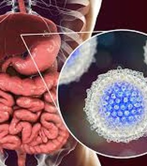 Hepatite C ainda assombra a vida dos alagoanos, segundo Ministério da Saúde 