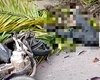 Palmeira cai em cima de motociclista na Santa Amélia em Maceió