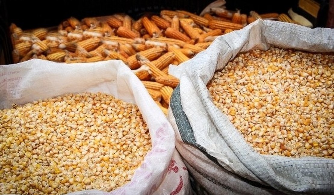 Comissão define áreas de experimento com milho e soja em 2016