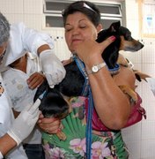 Campanha de vacinação contra raiva em cães e gatos inicia nesta segunda-feira