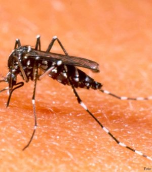 México tem primeira vacina contra dengue no mundo