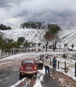 Só parece neve: frio deixa plantações cobertas no sul de Minas Gerais