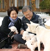 Presidente da Coreia do Sul apresenta filhotes dos cães que ganhou de Kim Jong-un
