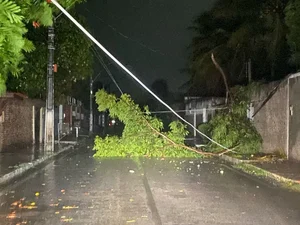 Tempestade durante a madrugada causa estragos e interrupção de energia nos quatro cantos de Maceió