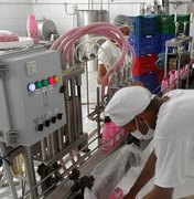 Fábrica de laticínios vai gerar 250 empregos em Murici