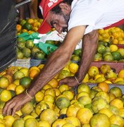 20ª Feira da Reforma Agrária do MST recebe apoio do Iteral