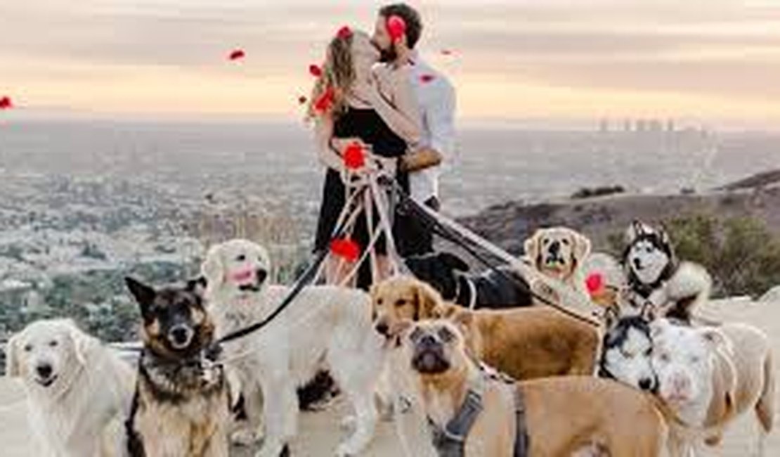 Homem faz pedido de casamento especial com a ajuda de 16 cachorros